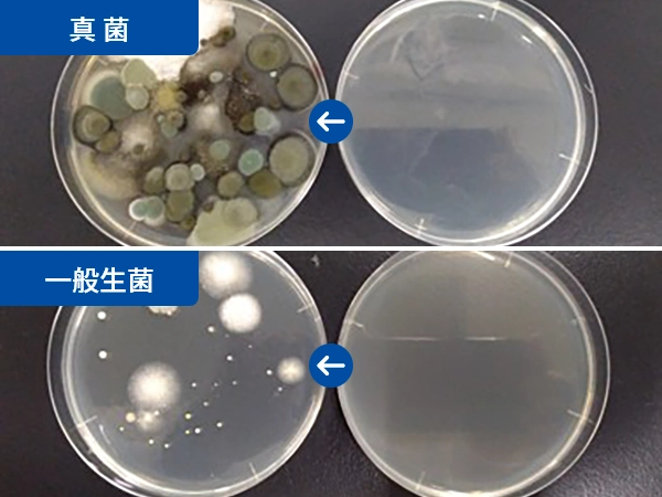 浮遊真菌および落下菌の培養検査