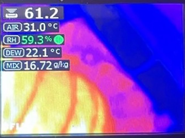カビ発生リスクを調査する温湿度・露点測定
