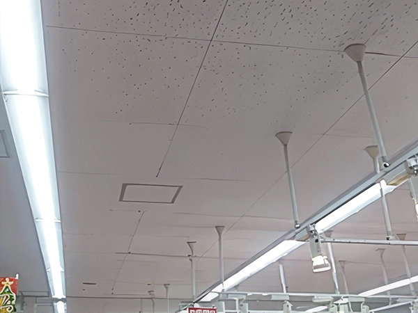 店舗天井のカビ除去後