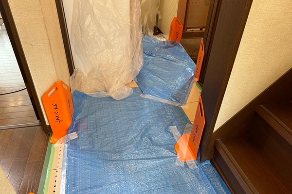 養生