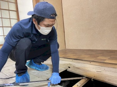 床下の体液浸透を確認するための部分解体作業